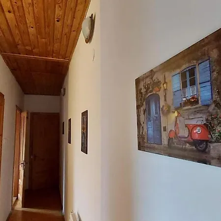 Apartment Csalogany *